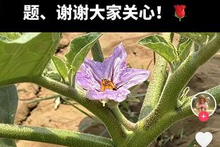 三节未完小萨砍下生涯第38次三双 本赛季个人第6次